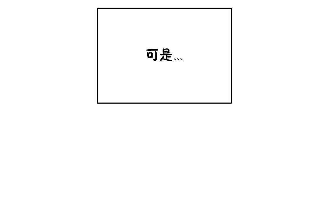 163.jpg