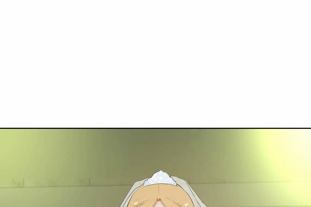 161.jpg