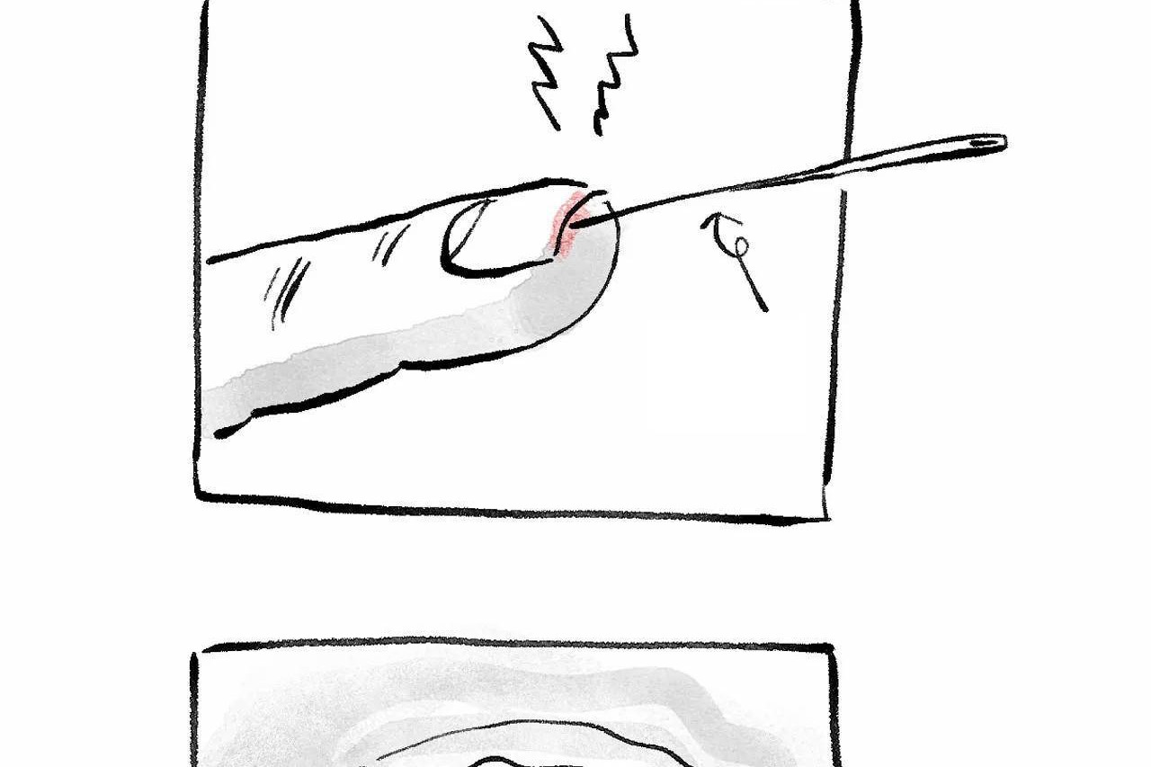 504.jpg